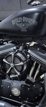 HARLEY-DAVIDSON SPORTSTER IRON 883 